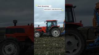 Sugerbeet Harvesting KUBOTA MD117 + SANEI INDUSTRY BMK-07 #Shorts #KUBOTA #SANEI