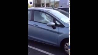 Dog honks car horn #Games 2015 - Full HD #Funny 2015 Fails