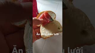 Bánh mì kẹp nem chua