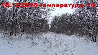 Фрагмент испытаний гончих Новокубанск 20161218 2029