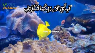 Surah Rahman in Very Beutifull Voice Heart Touching With Urdu Tarjuma