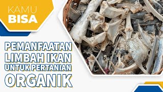 PEMANFAATAN LIMBAH IKAN DALAM PERTANIAN ORGANIK!