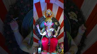 Nagpur’s Bappa 2024 #nagpur #ganesh #ganeshchaturthifestival #shorts #trending #viralvideos