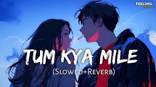 Tum Kya Mile - (Slowed+Reverb) | Arijit Singh, Shreya Ghoshal | RRKPK | Feeling AESTHETIC