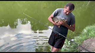 Донная ловля сазана. Эпизод 12 часть 3. Fishing a carp on a bottom rod. Episode 12 part 3