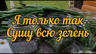 Зелень сушёная в аэрогриле.  (зелёный лук, укроп, петрушку, кинзу, мяту, тархун и т.д.) Dried herbs