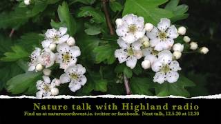 Nature talk 5.5.20 with NatureNorthWest and Highland radio