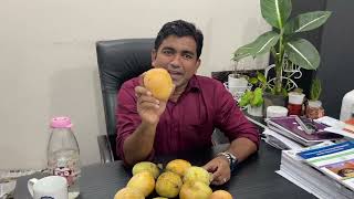 গৌড়মতি আম (Gouromoty Mango)- বাংলাদেশের অন্যতম সেরা আম -২০২৩