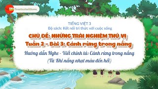 HƯỚNG DẪN NGHE - VIẾT CHÍNH TẢ: CẢNH RỪNG TRONG NẮNG - TUẦN 2 -BÀI 3 | TIẾNG VIỆT 3 - KẾT NỐI