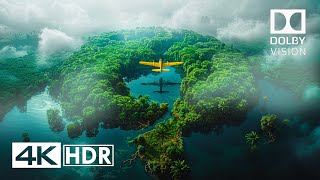 Your Eyes Will Surprise! Best 4K HDR Dolby Vision (4K Video)