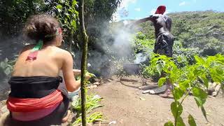 Cooking On Wood Fire In the bush, Calalloo with Rice , Simple Life , Asmr Cozy Nature Sounds