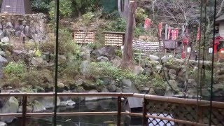 箱根湯元【Yumoto Onsen（ Hot Spring）】