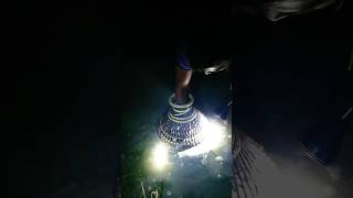 village night awesome fishing video #shorts #fish #viral