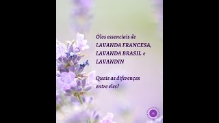 Óleos Essenciais de Lavanda Francesa, Lavanda Brasil e Lavandin - Diferenças | Pólen da Beleza