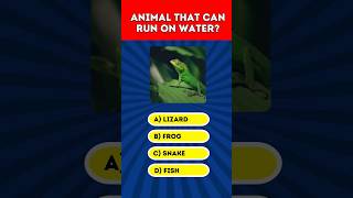 Who the Animal that can run on water ? #shorts #quiz #animals