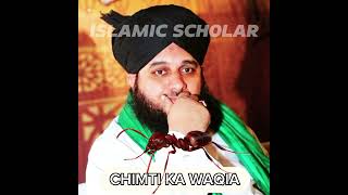 HAZRAT SULAIMAN A.S (chimti ka waqia) 🐜🐜🐜