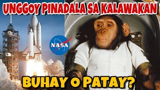 Unggoy Ipinadala sa Kalawakan | Anong Nangyari sa Unggoy na Pinadala sa Outer Space? (Kawawa)