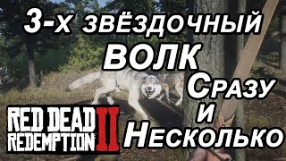 Где найти Превосходного ВОЛКА /Сразу и несколько/Red Dead Redemption 2/