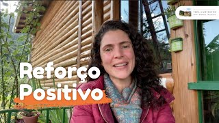 Reforço positivo - O que é? Como Aplicar?