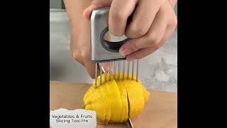 Kitchen Vegetables and Fruit Slicing Tool 304 Chopping Onion Pin