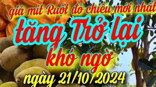 giá mít ruột đỏ chiều nay ngày 21/10/2024