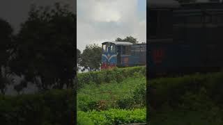 #toytrain #darjeeling #himalayanrailway #batasialoop