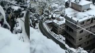 Second Snowfall Shimla Today| Shimla Kufri Narkanda Snowfall|Shimla Trip|Shimla Travel Guide