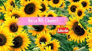 Live Streaming Anisa NH Channel