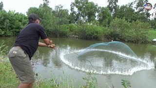 Chài cá sông dính ngay ổ cá rô phi gở mỏi tay | Catch fish