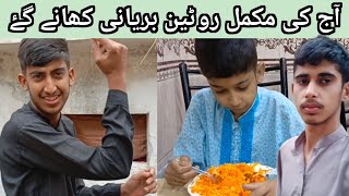 Aj Chicken Biryani Khany K Liye Gye|Full Day Routine Vlog|Village Life In Pakistan|Daily Dina Vlogs