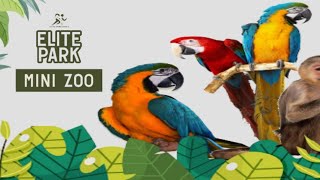 Elite Park Mini Zoo | Wisata Edukasi | Sport Center | Ragam Wisata di tanah Jawara Part 5