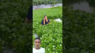 water hyacinth makes great wood for ducks and geese... #satisfying #shorts