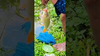 Hook Fishing 🎣 Fishing With Hook ~ Catching Fish By Hook ~ Traditional Hook Fishing #shortsvideo