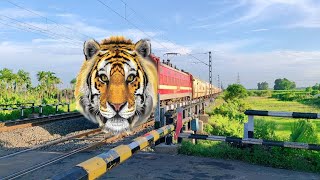 Dengerous Angry Tiger 🐯 Headed Red Monster Move out Railgate