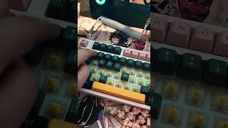 Lubed Gateron milky yellow switches #shorts #germany #asmr #switch #anime #customkeyboard #trending