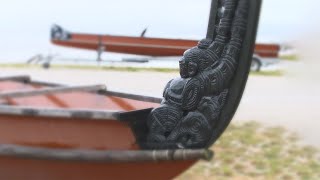 Ko te pāpōuri o Ngāti Paoa mō Pūkorokoro