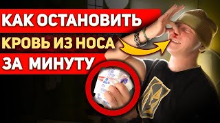 Как остановить кровь из носа за минуту.