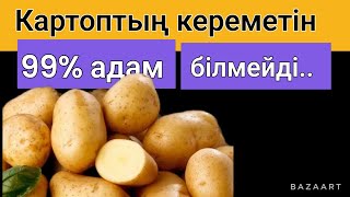 Картоптың пайдасы.Ашқарынға таңертең  суын ішсеңіз керемет ем болады.