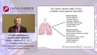 Lung Adenocarcinoma - Mathew Meyerson M.D, Ph.D Part 3