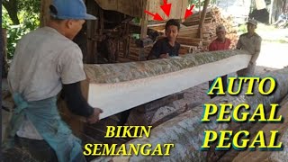 INI DIA!!! SAWMILL KAYU SENGON BESAR YANG BIKIN SEMANGAT KERJA