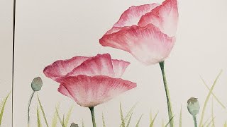 How to: California poppies with watercolor & ink