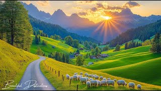 Beautiful Relaxing Music to Reduce Stress - Meditation Music, Sleep Music, Healing Music, Calm Music