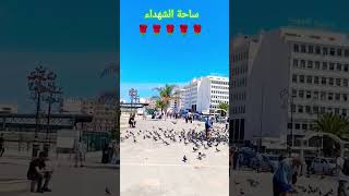 Alger 🇩🇿♥🌹🌹🌹🌹🌹