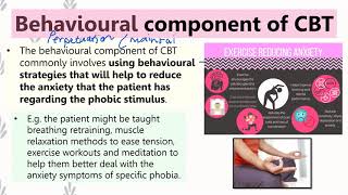 Specific Phobia: Psychological and Social Evidence-Based Interventions