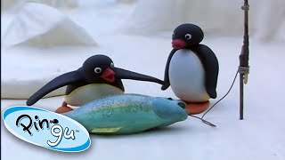 Pingu Goes Fishing With His Family! 🐟 @Pingu  1 Hour | Cartoons for Kids