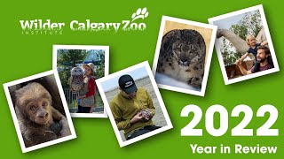 Wilder Institute/Calgary Zoo's 2022 Year in Review - A Heartfelt Thank You!