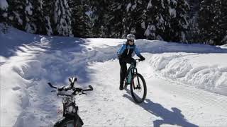 Salita in MTB a Malga Nemes