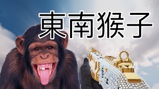 【決勝時刻】東南猴子都是長這樣的🙉