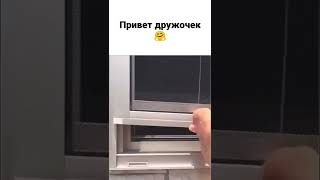 Друзья на всю жизнь 🤗 Привет дружочек