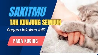 Bila sakitmu tak kunjung sembuh segera lakukan ini⁉️